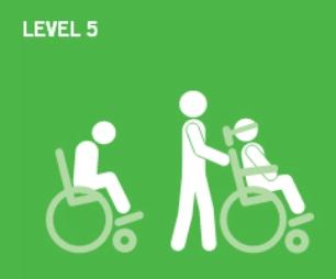 Gross Motor Function Classification System - Level 5