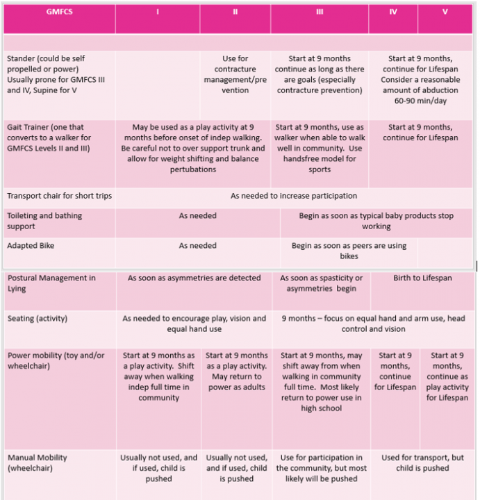 Pink Graph with the GMFCS Levels with types of equipment on the side showing at which age and GMFCS level different types of equipment should be considered.