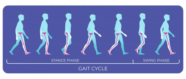Illustrated Image of an person walking from the side view with detail on his legs showing how his foot lifts up off the ground then steps through, heel strikes and he begins the next step.