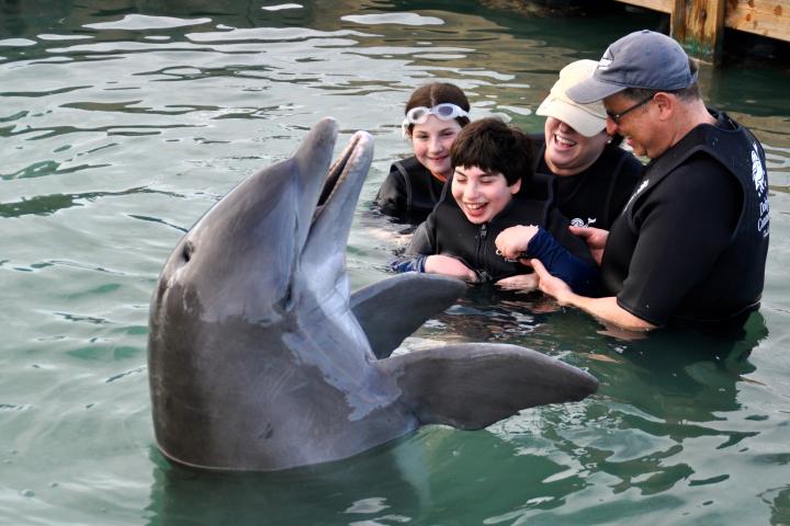 Photo of family of 4 in the water with a dolphin