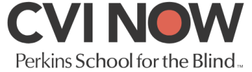 CVI NOW Logo