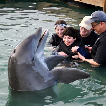 Photo of family of 4 in the water with a dolphin