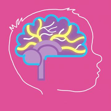 Outline of child's head outlining brain connections that relate to neuroplasticity