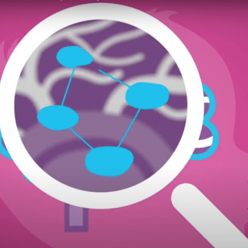 Representation of a magnifying glass magnifying the neurons in the brain 