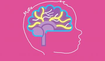 Outline of child's head outlining brain connections that relate to neuroplasticity