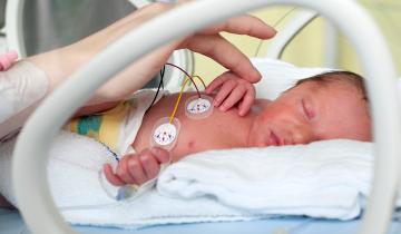 Baby in an incubator in the NICU touching parent's hand