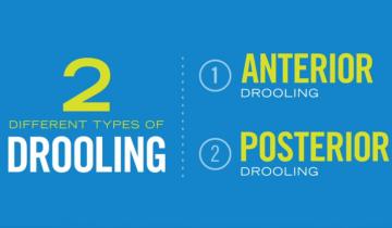 The two main types of drooling are anterior and posterior