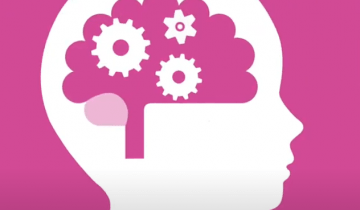 Representation of the brain illustrating with images of cogs inside