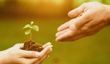An image of hands, one holding a blossom and passing to the other