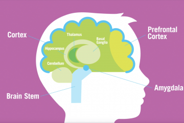 Profile image of a child's head showing an illustration of the brain