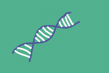 Drawing of DNA