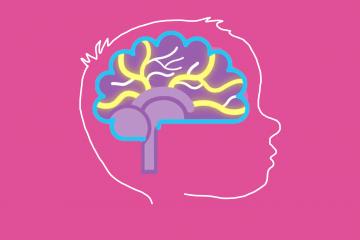 Outline of child's head outlining brain connections that relate to neuroplasticity