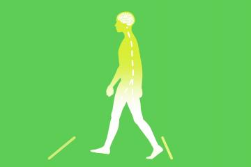 An illustration of a person walking across the screen. The person's brain and spinal cord can be seen under their skin.