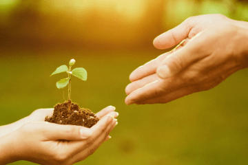 An image of hands, one holding a blossom and passing to the other