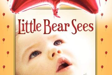 Little Bear Sees